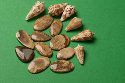 Picture jasper
