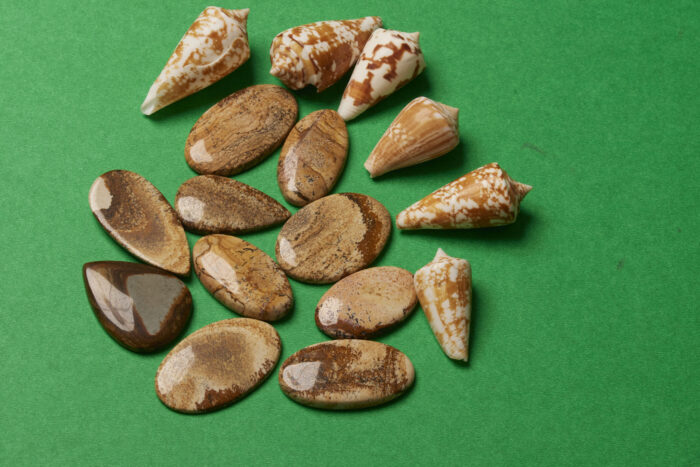 Picture jasper